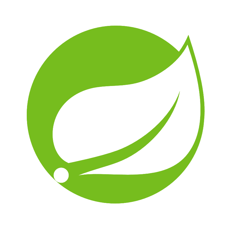 spring boot custom software development technology