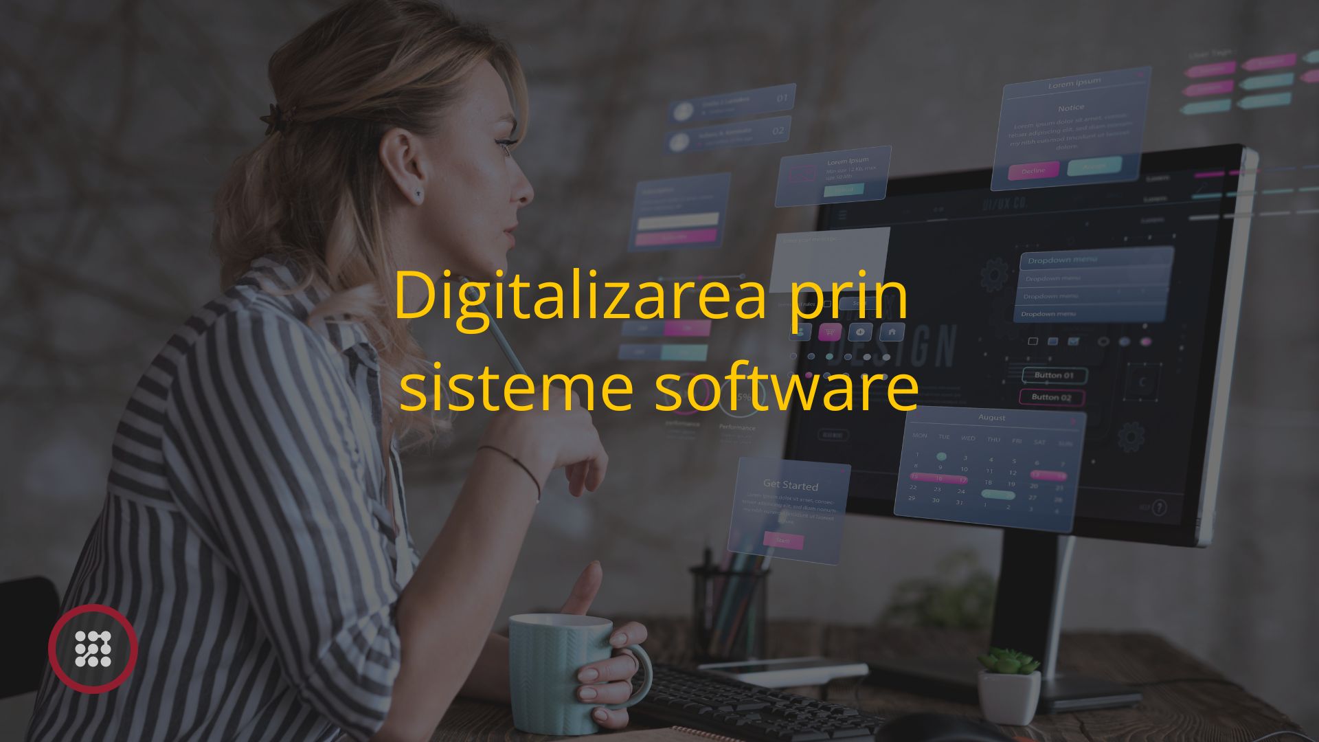 Digitalizarea prin sisteme software Digitalizarea prin sisteme software